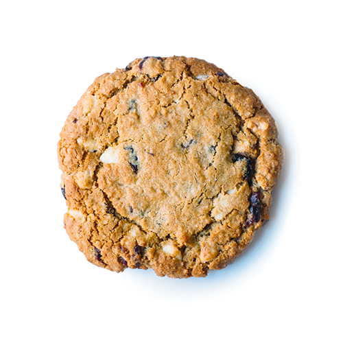 single blueberry white chocolate oatmeal cookie on white background