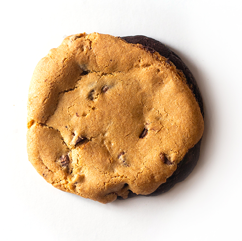 Single chocolate chip cookie brownie on white background