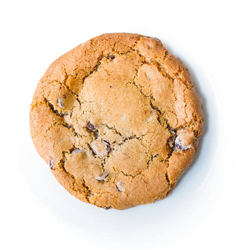 Single Chocolate Chip Cookie on white background