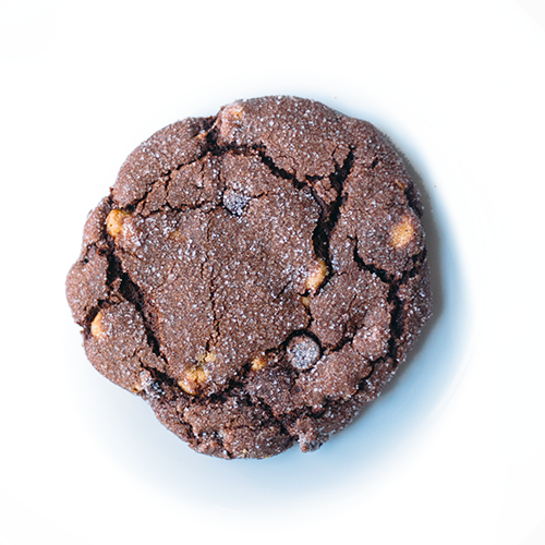 single chocolate peanut butter porter cookie on white background