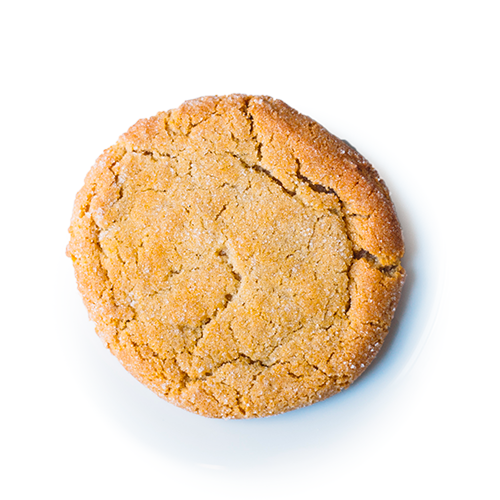 Single honey peanut butter cookie on white background