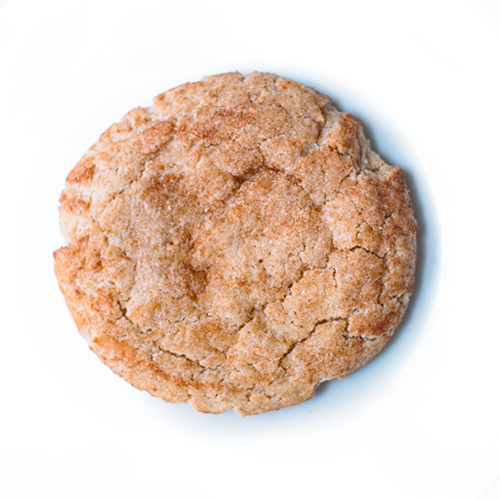 Single snickerdoodle cookie on white background