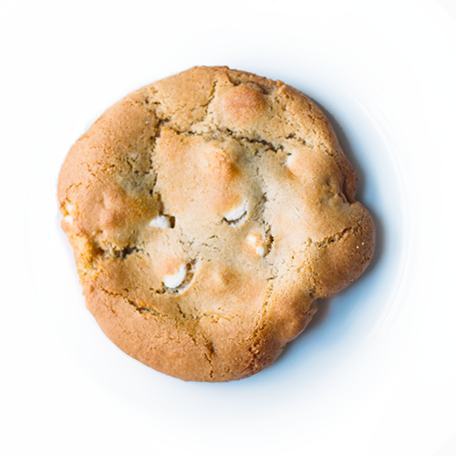 single white chocolate macadamia nut cookie on white background